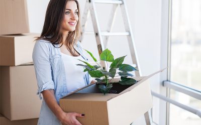 L’habitat des jeunes, entre utopie et réalité immobilière (étude)